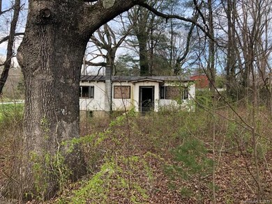 110 Baldwin Ave, Hendersonville, NC 28792 - photo 4