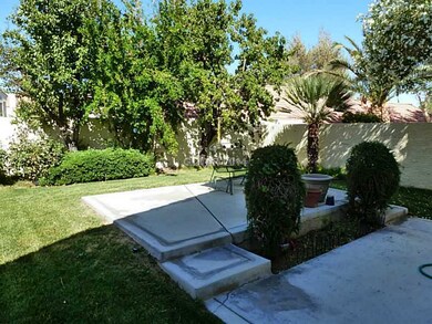 Yard/Garden.