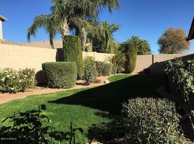 04_BackYard