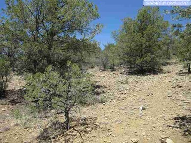 LOT 162 Swan Street @ Chimboraza Point unit Dos Griegos Phase 5, Silver City, NM 88061 - photo 2