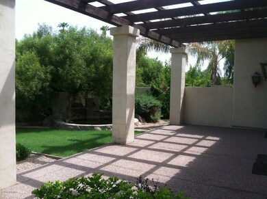 Backyard 2