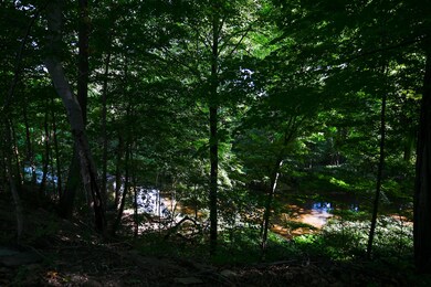 13625 Mill Rd, Sawyer, MI 49125 - photo 7