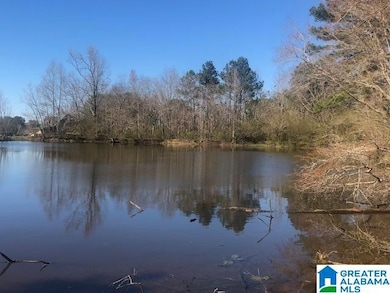 #0 Shady Point Rd, Locust Fork, AL 35097 - photo 3