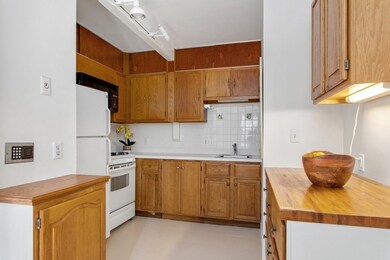 36 Irving St unit R, Cambridge, MA 02138 - photo 6