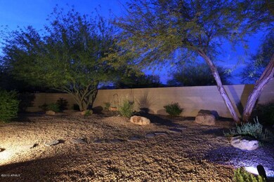 Night-Backyard