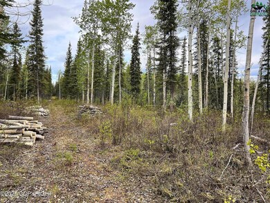 NHN Glennallen 99588 - photo 2