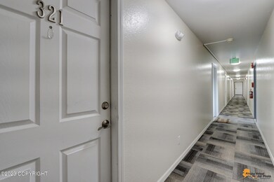 AVDP20 (4)