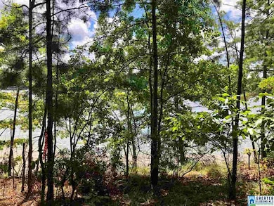 0 County Road 3292 unit 1 854493, Wedowee, AL 36278 - photo 7