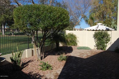 backyard 2
