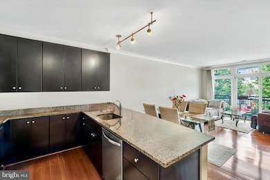 915 N Patrick St unit 206, Alexandria, VA 22314 - photo 4