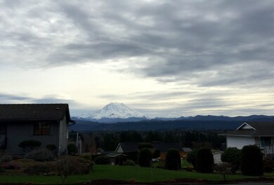 25612 99th Ave E, Graham, WA 98338 - photo 3