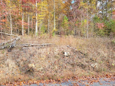 10 Raulstontown Rd, South Pittsburg, TN 37380 - photo 4