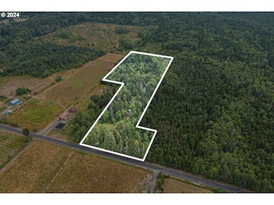 332 Boone Rd, Toledo, WA 98591 - photo 3