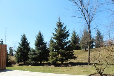 Rear Yard View from  Deck
