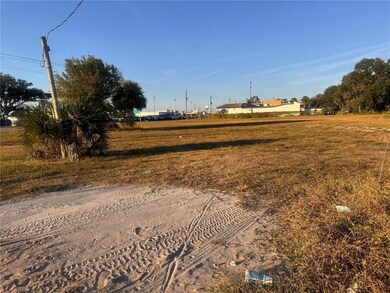 245 S Brevard Ave, Arcadia, FL 34266 - photo 4