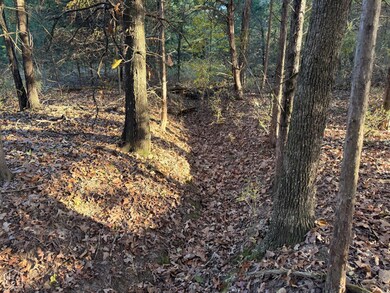 599 Arkansas 58, Cave City, AR 72521 - photo 5