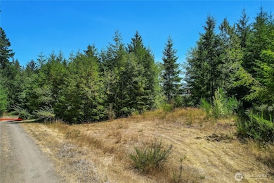 0 Lot 3 SE Yeshua Ln, Port Orchard, WA 98366 - photo 2