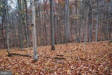 Lot 12 Tall Pines Ln, Berkeley Springs, WV 25411 - photo 5
