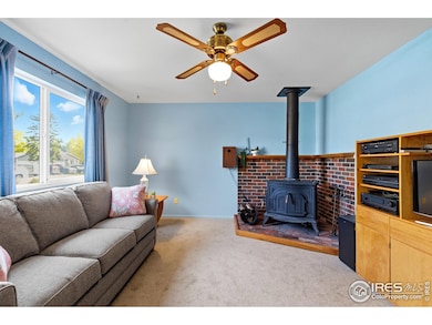 Brand new carpet and newer paint.