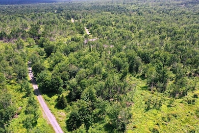 Lot 7 W Bog, Shirley, ME 04485 - photo 4