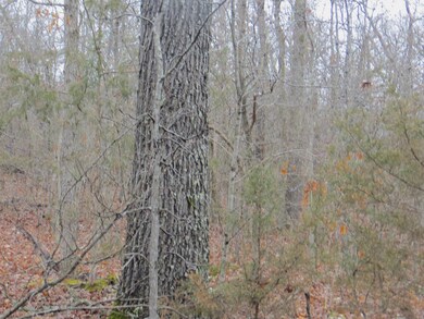 000 Ridgehaven Rd, Mammoth Spring Township, AR 72554 - photo 4