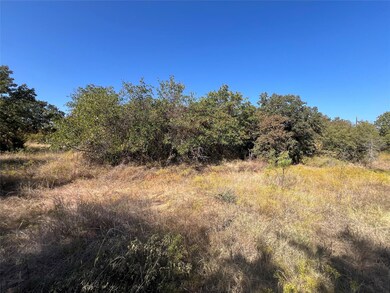 View of nature