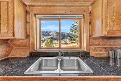 38500 Lobo Ct, Steamboat Springs, CO 80487 - photo 7