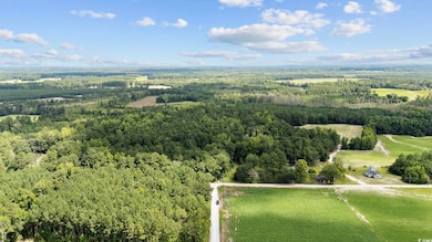 TBD Plainfield Rd, Galivants Ferry, SC 29544 - photo 2