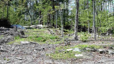 5062 20 Mile Stream Rd, Cavendish, VT 05153 - photo 3