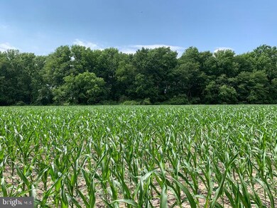 3228 Thompsonville Rd, Milford, DE 19963 - photo 6