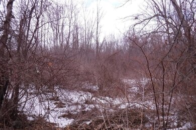 Lot 36 Oneill Rd, Warren, MA 01083 - photo 6