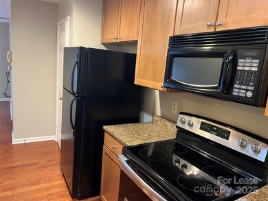 3929 Picasso Ct unit 3929, Charlotte, NC 28205 - photo 4
