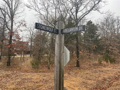 105A Stonewolf Ct, Gordonville, TX 76245 - photo 2