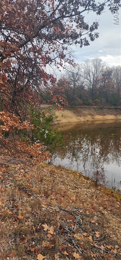 11050 County Road 2220, Rolla, MO 65401 - photo 3