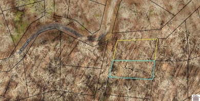 000 Meacham Dr, New Concord, KY 42076 - photo 2