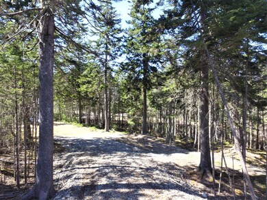 634 Duck Cove Rd, Roque Bluffs, ME 04654 - photo 3