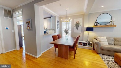 725 Massey Ln unit A, Alexandria, VA 22314 - photo 6