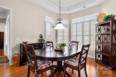 12235 Gadwell Place, Indian Land, SC 29707 - photo 7