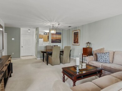 97 Anderer Ln unit 204, West Roxbury, MA 02132 - photo 5