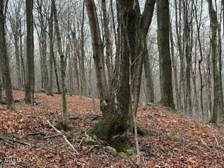 341 Duvall Cemetery Rd, Broad Top Township, PA 16679 - photo 6