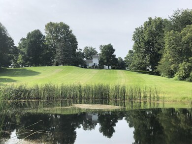 IMG_1938