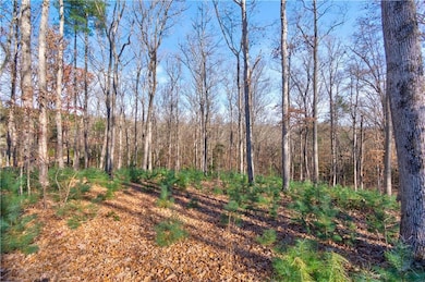 193-4 Oakwood Way, Blairsville, GA 30512 - photo 3