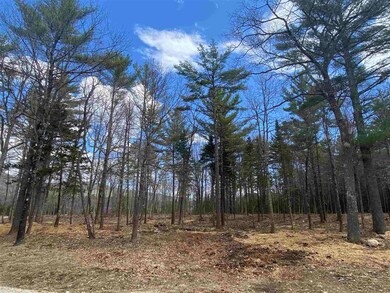 #41 Winchester Ln unit Lot 41, Tuftonboro, NH 03816 - photo 2