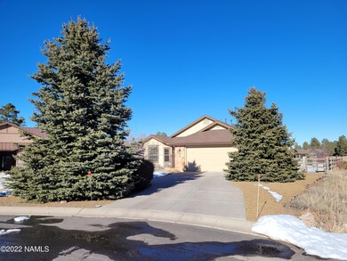 Douglas Fur at driveway
