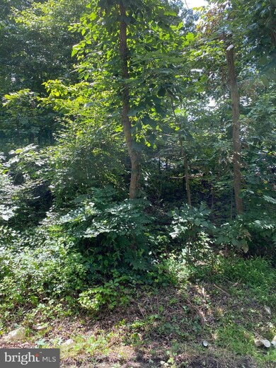 3905 Oakdale Cir, Triangle, VA 22172 - photo 3