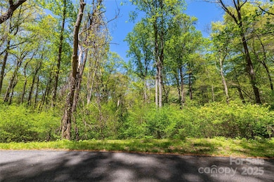 TBD Whispering Woods Path, Mars Hill, NC 28754 - photo 7