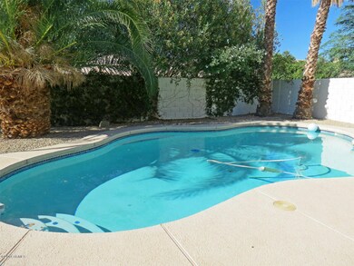 Sparkling Pool