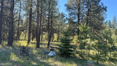 NHN Yaak River Rd, Yaak, MT 59935 - photo 7