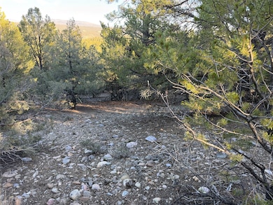 TBD Talavera Lot: 7-B2, Tierra Amarilla, NM 87575 - photo 5