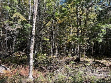 M6L16-12-3 Beaver Brook Rd, Bowerbank, ME 04426 - photo 4